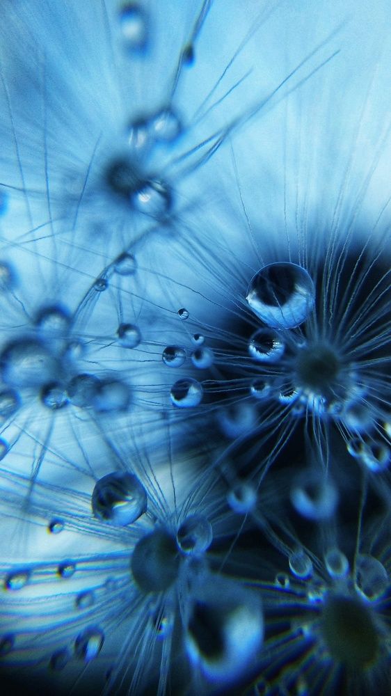 Photograph by Алеся Цеван