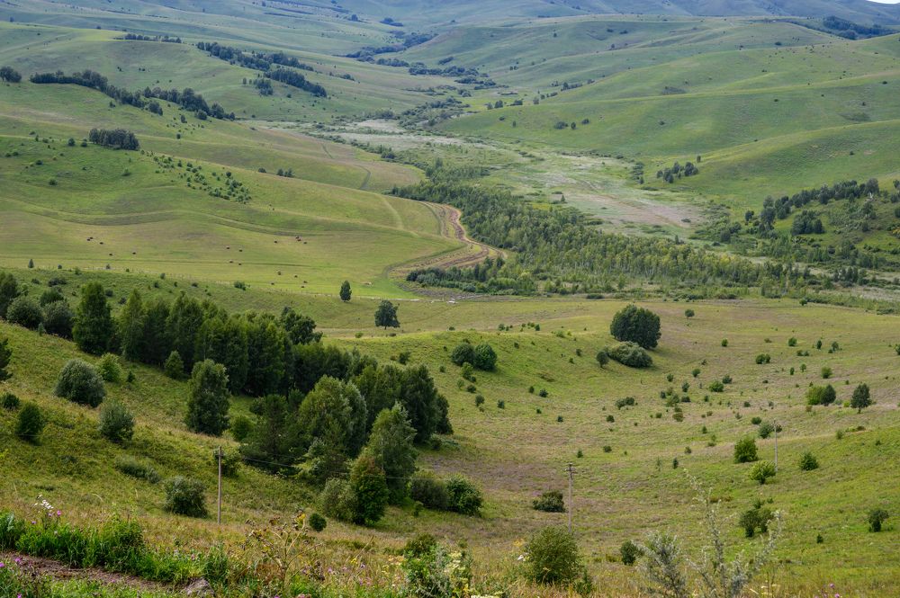 Photograph by Константин