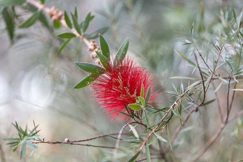 Photograph by Sergei Komlev
