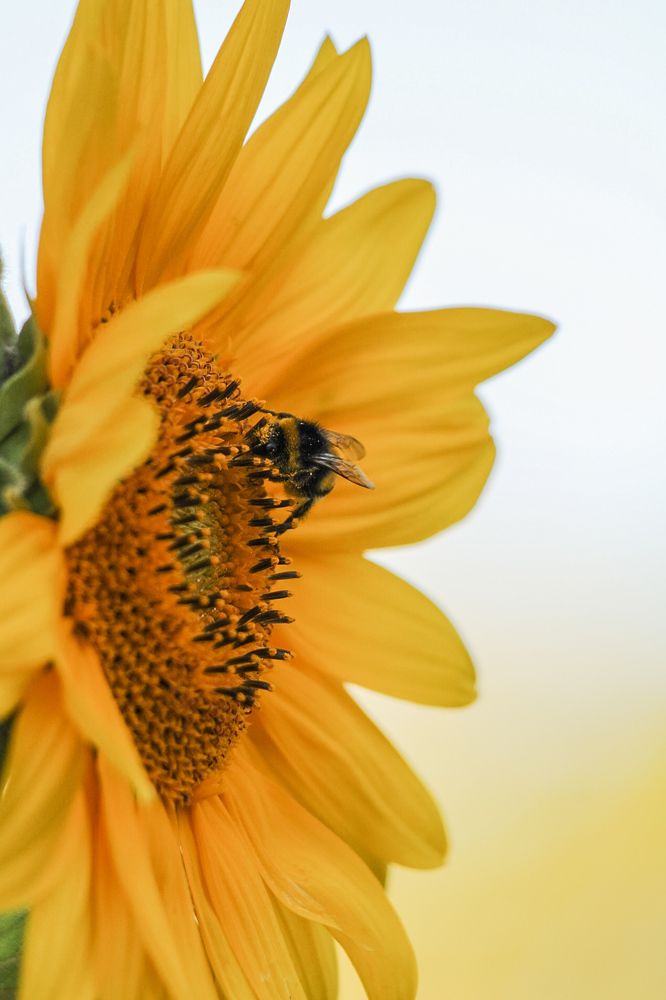 Photograph by Angelina