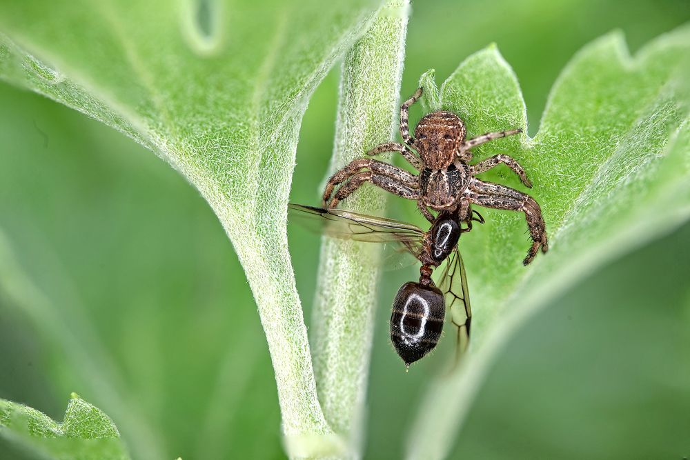 Photograph by Dragan Cerovic