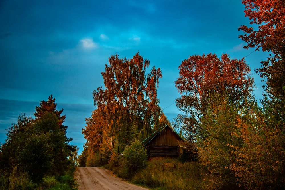 Photograph by Ольга Сафронова