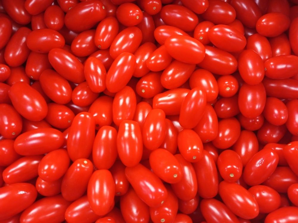 Photograph by Ирина Фирсова