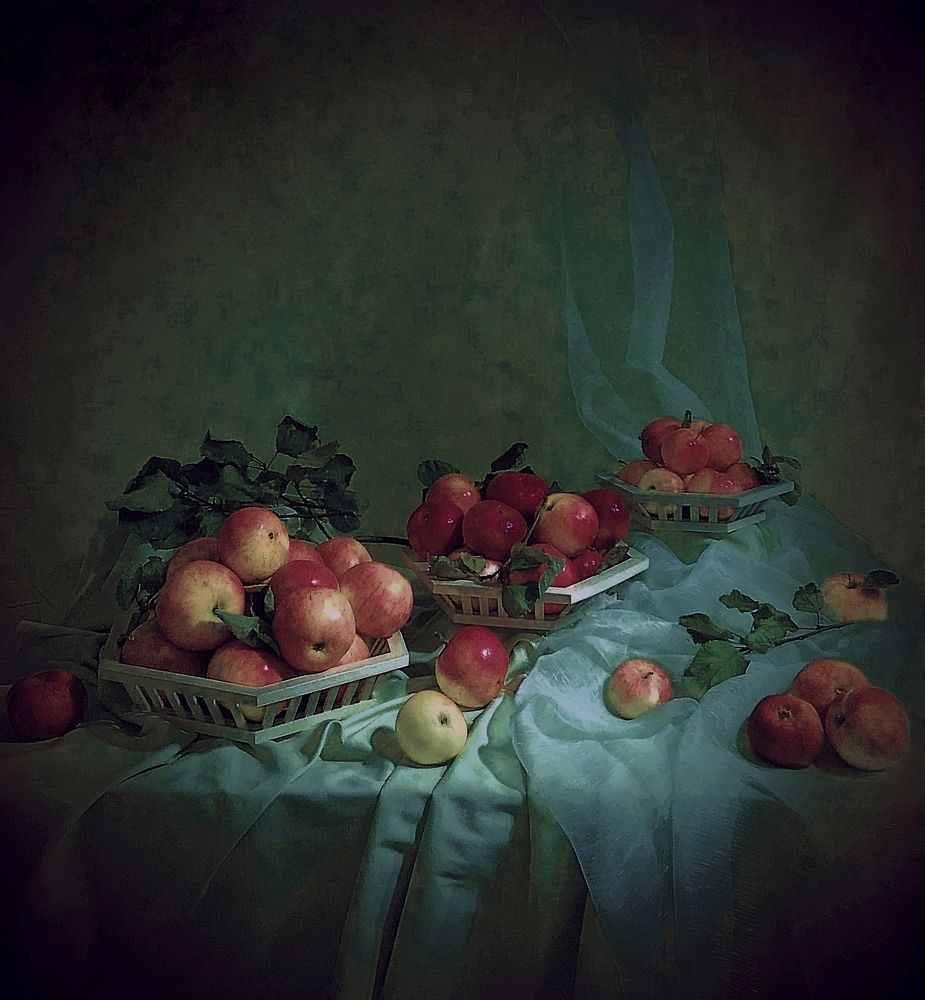 Photograph by Виолетта Рябова