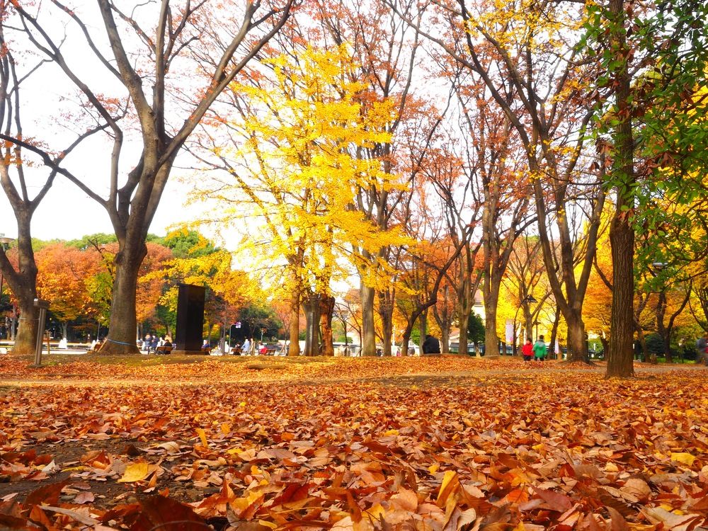 Photograph by Junya Higashi