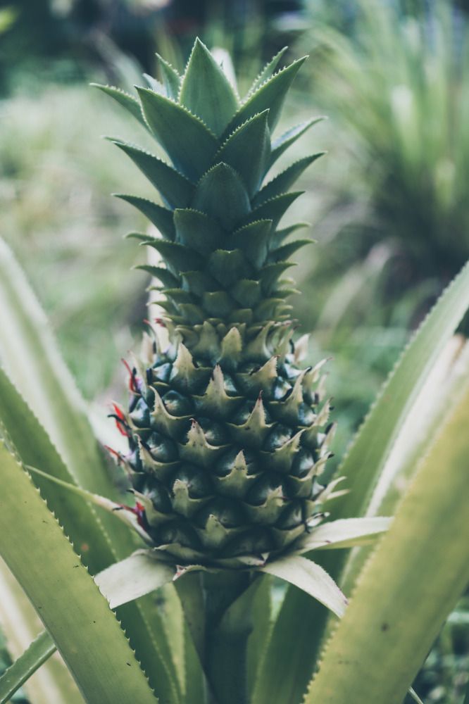 Photograph by Komang Mariono