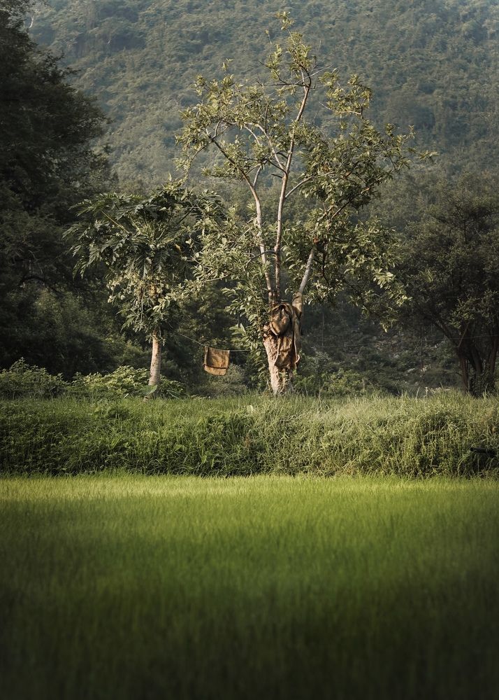 Фотография автора Piyush Paul