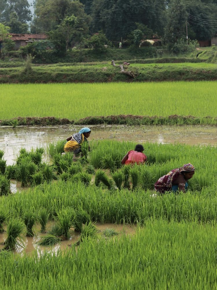 Фотография автора Piyush Paul
