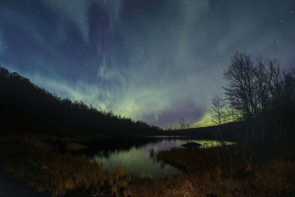 Фотография автора Андрей Русских