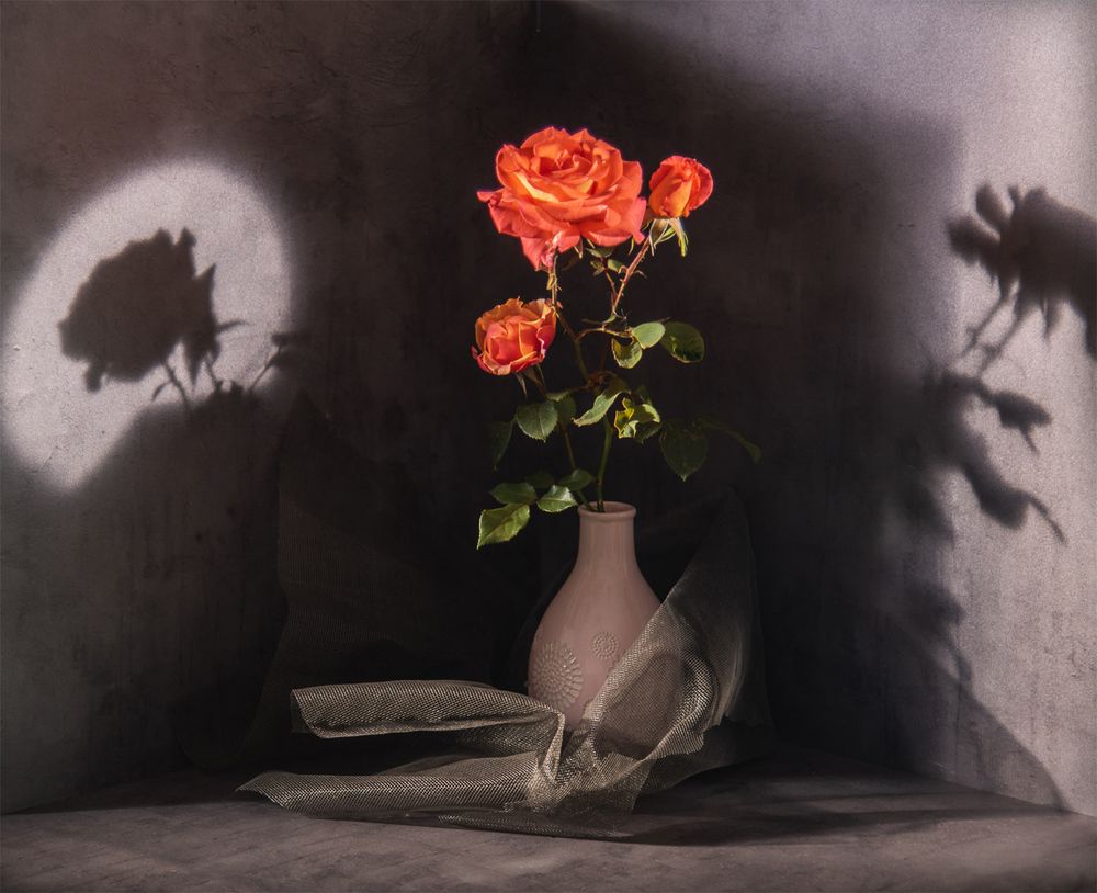 Photograph by Ирина Яук