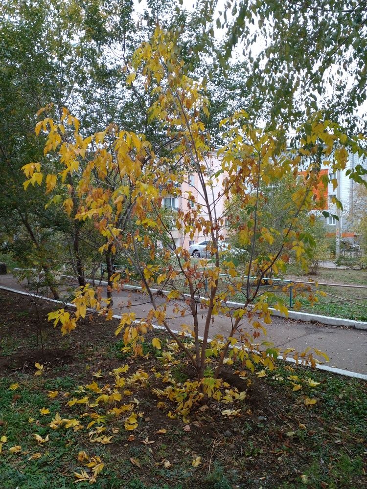 Photograph by Татьяна Собенникова