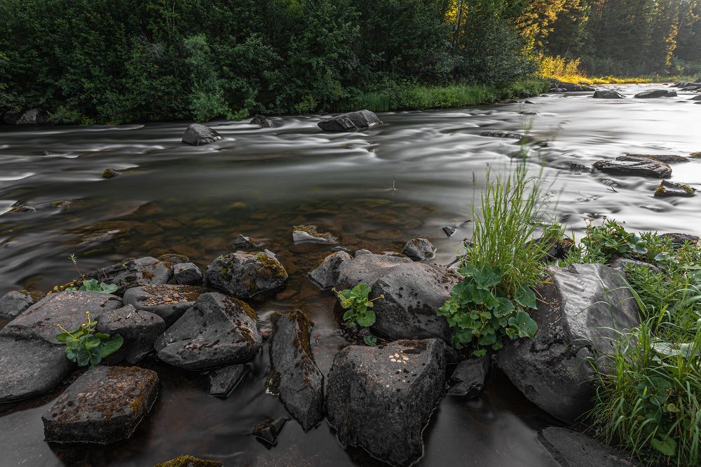 Стылая вода ...