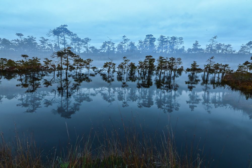 Photograph by Александр Щербаков