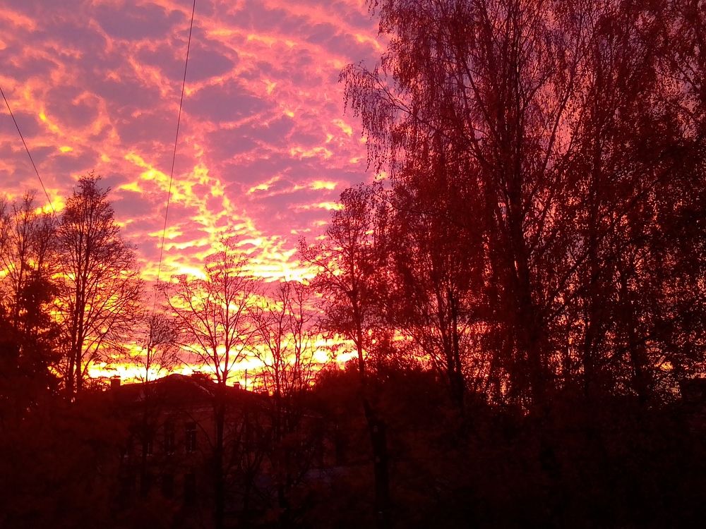 Photograph by Adrian Ошмаро