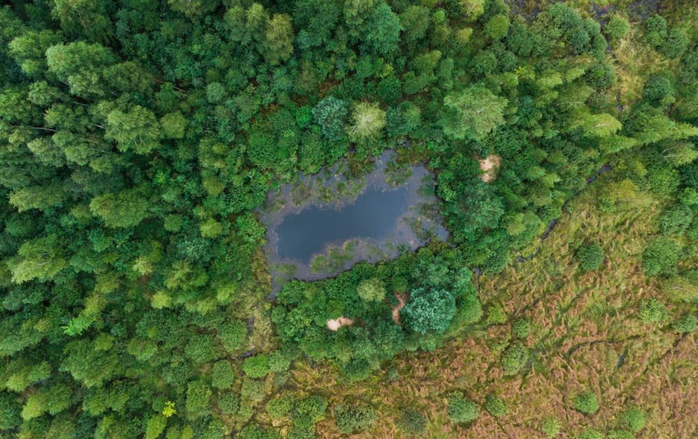 Photograph by Leanid Kulpo