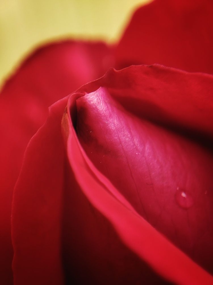 Photograph by Meilany Wijaya