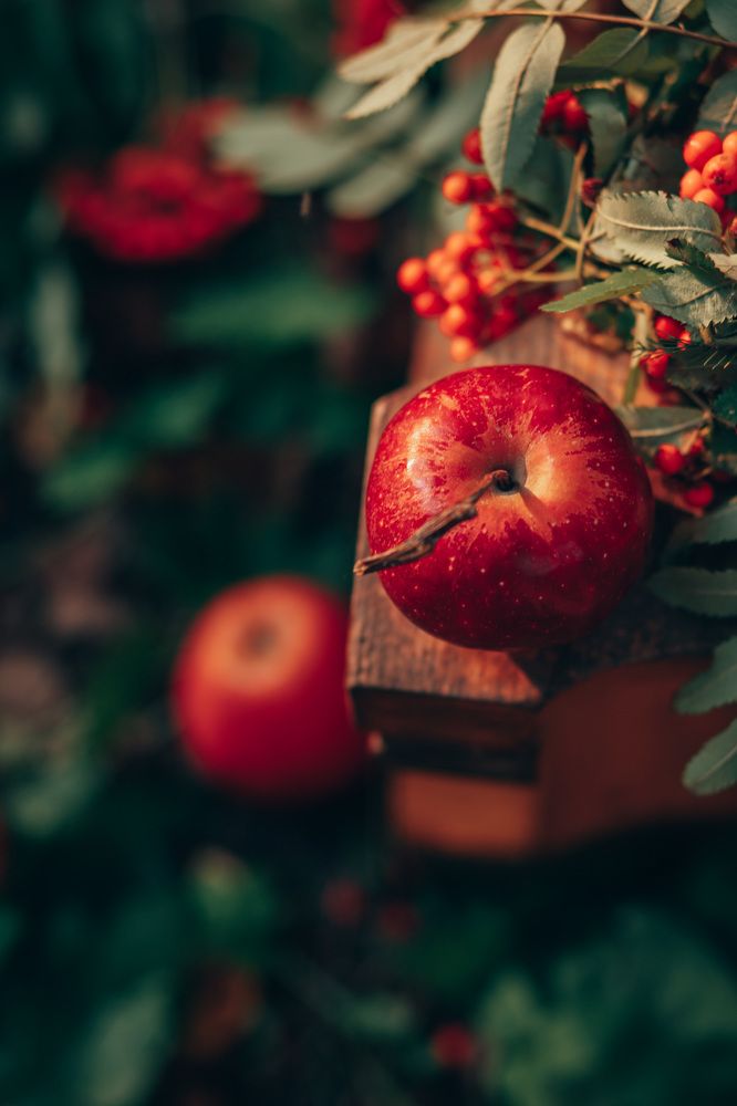 Photograph by Анастасия Макеева