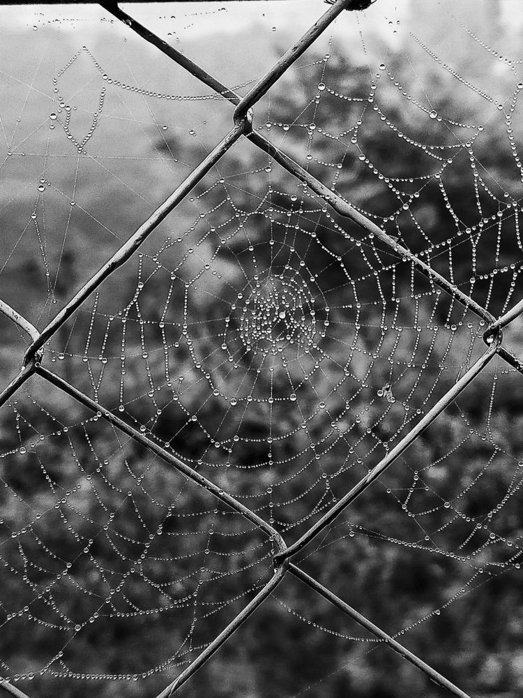 Photograph by Ольга Мартьянова