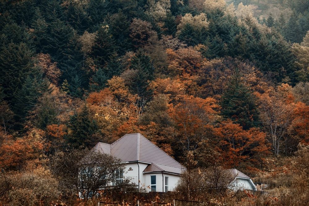 Photograph by Ольга Коцюрбий