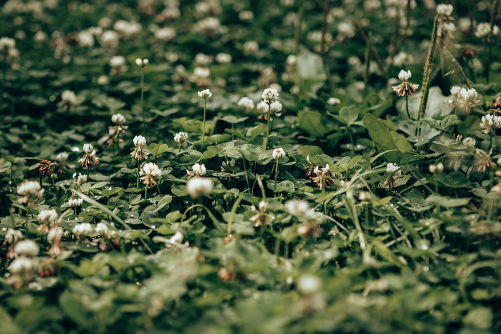 Photograph by Анастасия Макеева