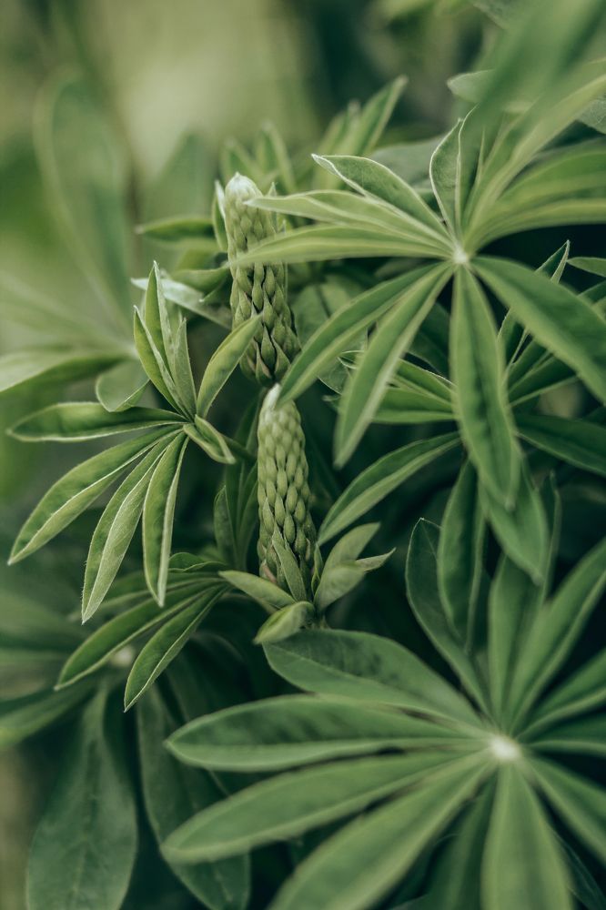 Photograph by Анастасия Макеева