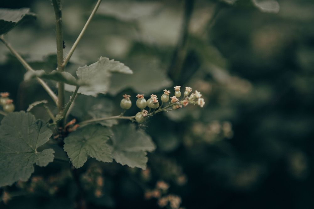 Photograph by Анастасия Макеева