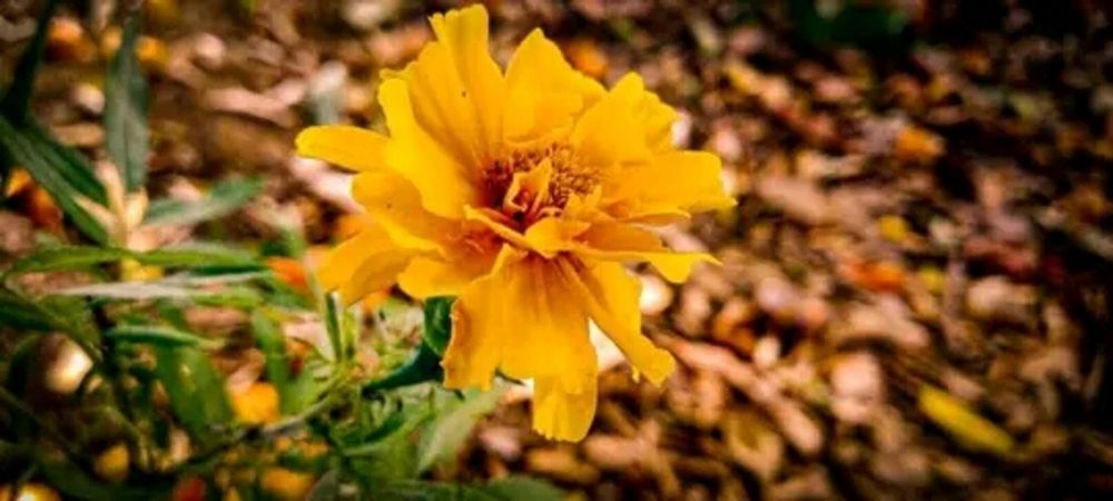 Photograph by María Madrid