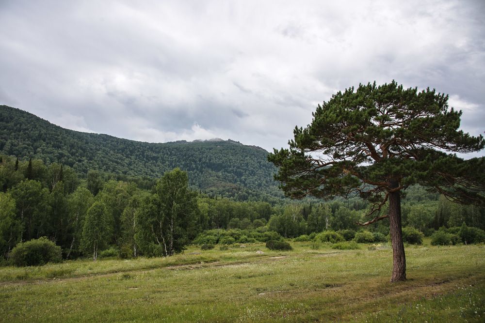 Photograph by Ирина Яук