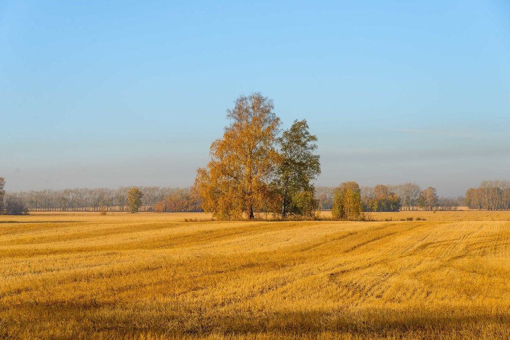 Photograph by Анатолий Мосяков
