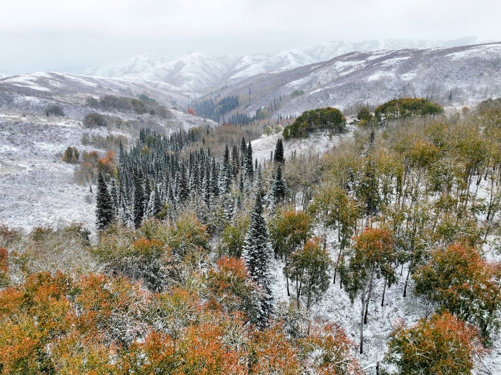 Photograph by Sergey