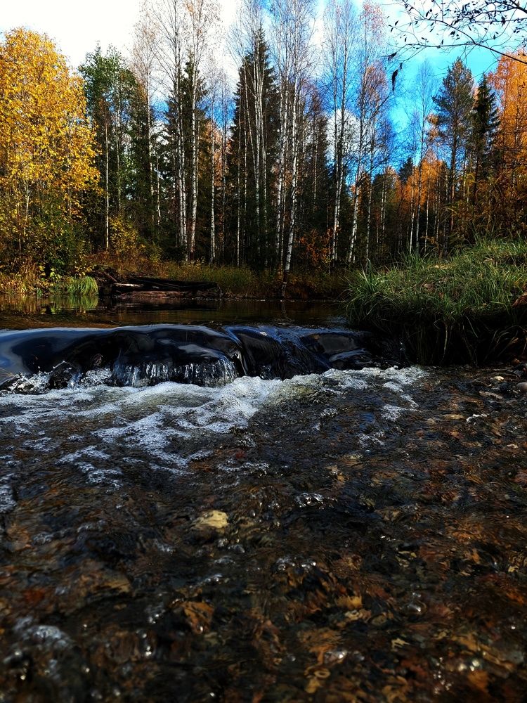 Photograph by Алёна Вороная