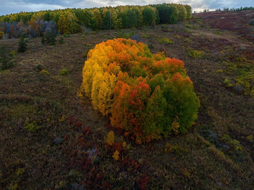 Photograph by Sergey