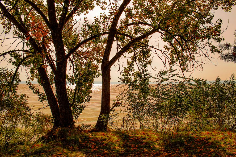 Photograph by Сергей Пупков