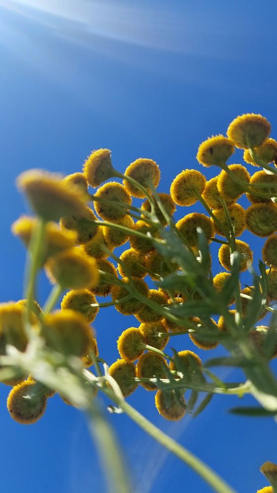 Photograph by Алёна Вороная