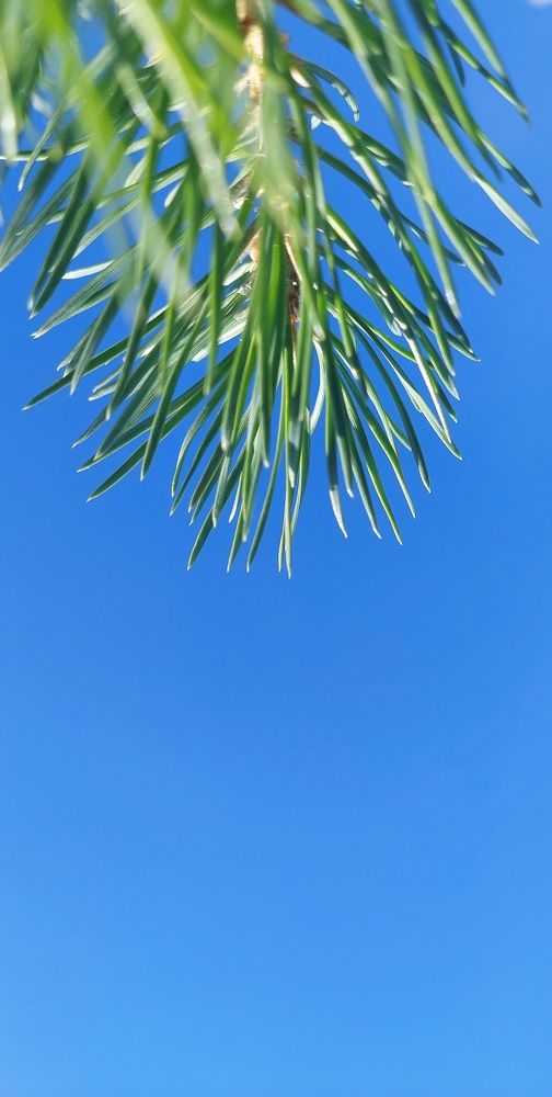 Photograph by Алёна Вороная