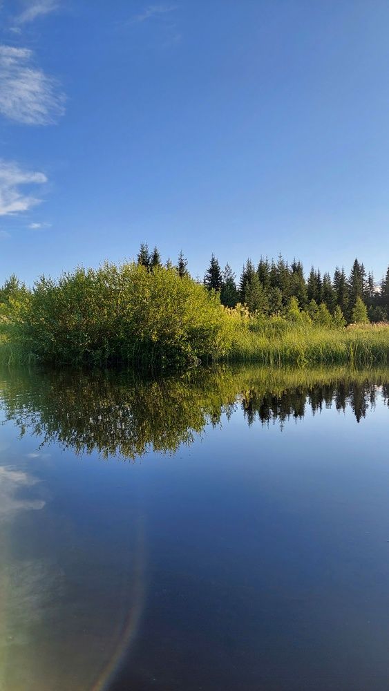 Photograph by Алёна Вороная