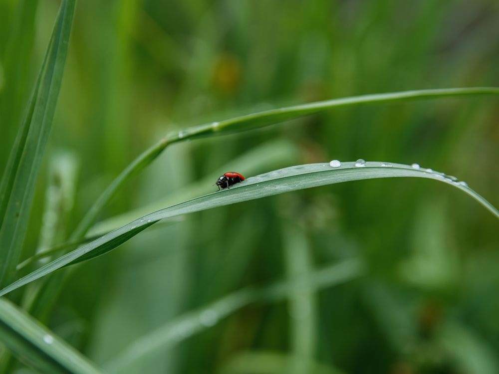 Photograph by Ольга Цветкова