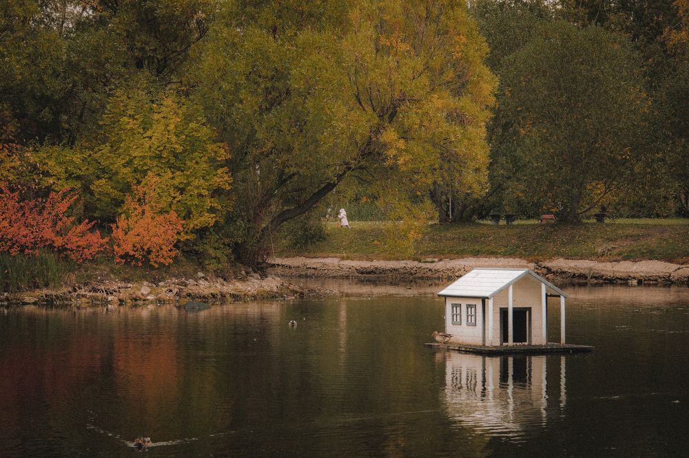 Photograph by Татьяна Гринько