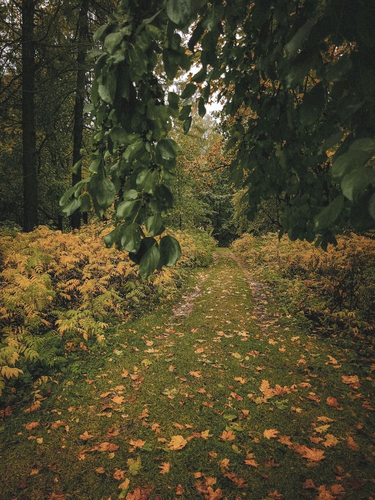 Photograph by Татьяна Гринько