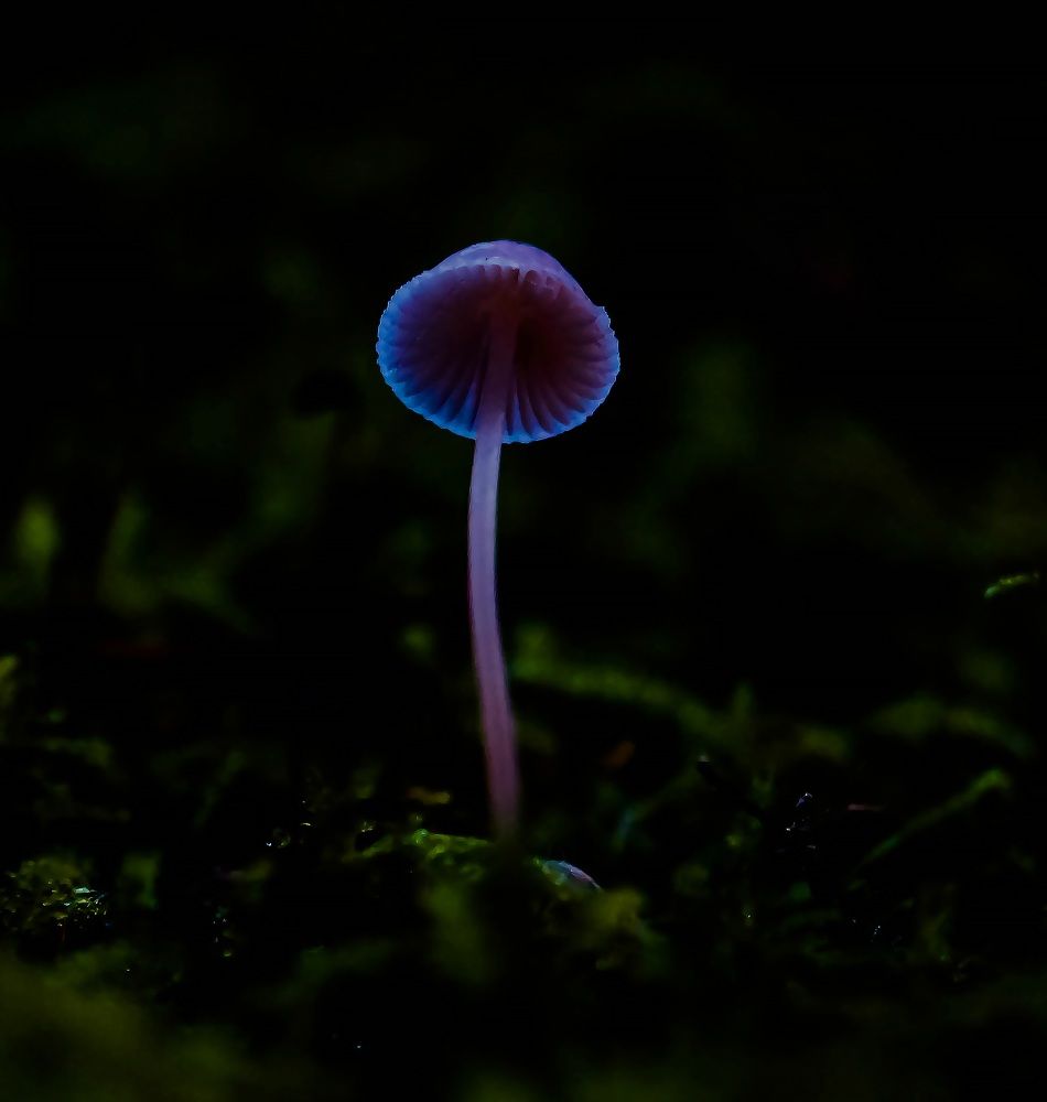 Фотография автора Юрий Цыркунов