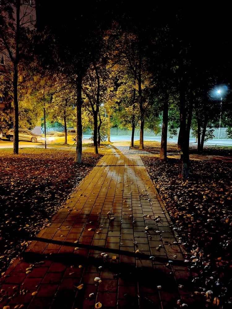 Фотография автора Светлана Смирнова