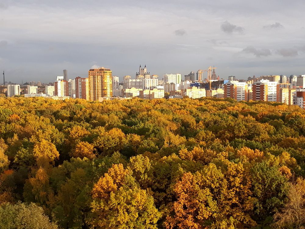 Photograph by Елена Тимченко