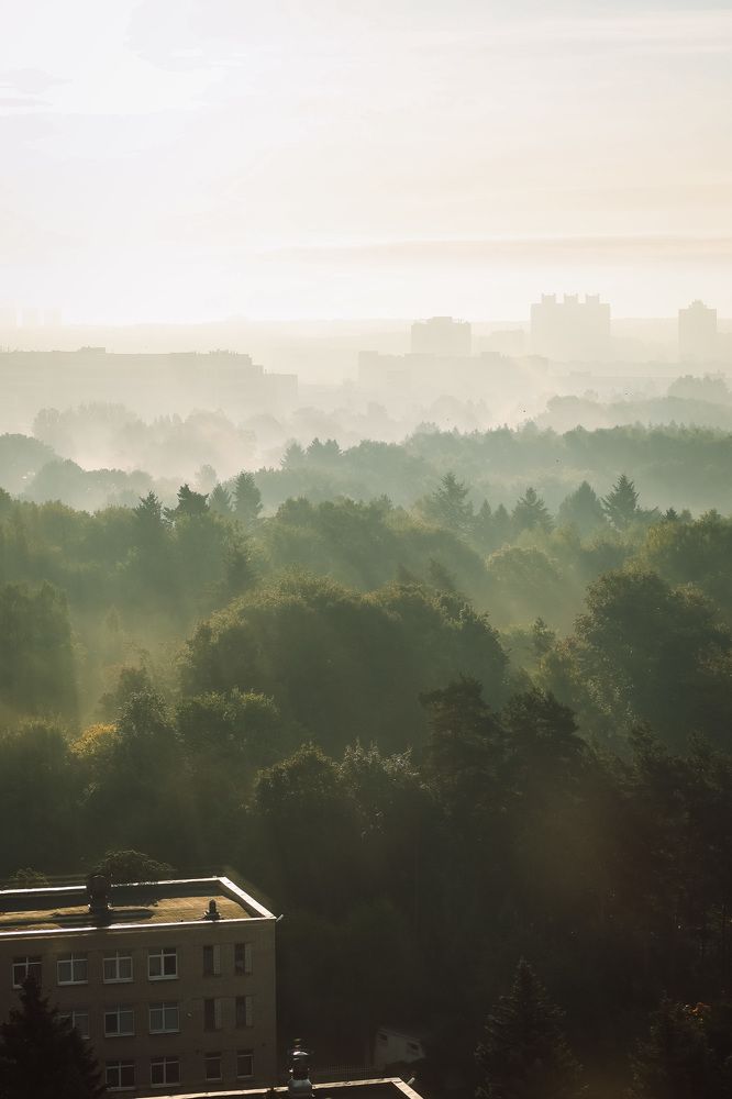 Photograph by Анастасия