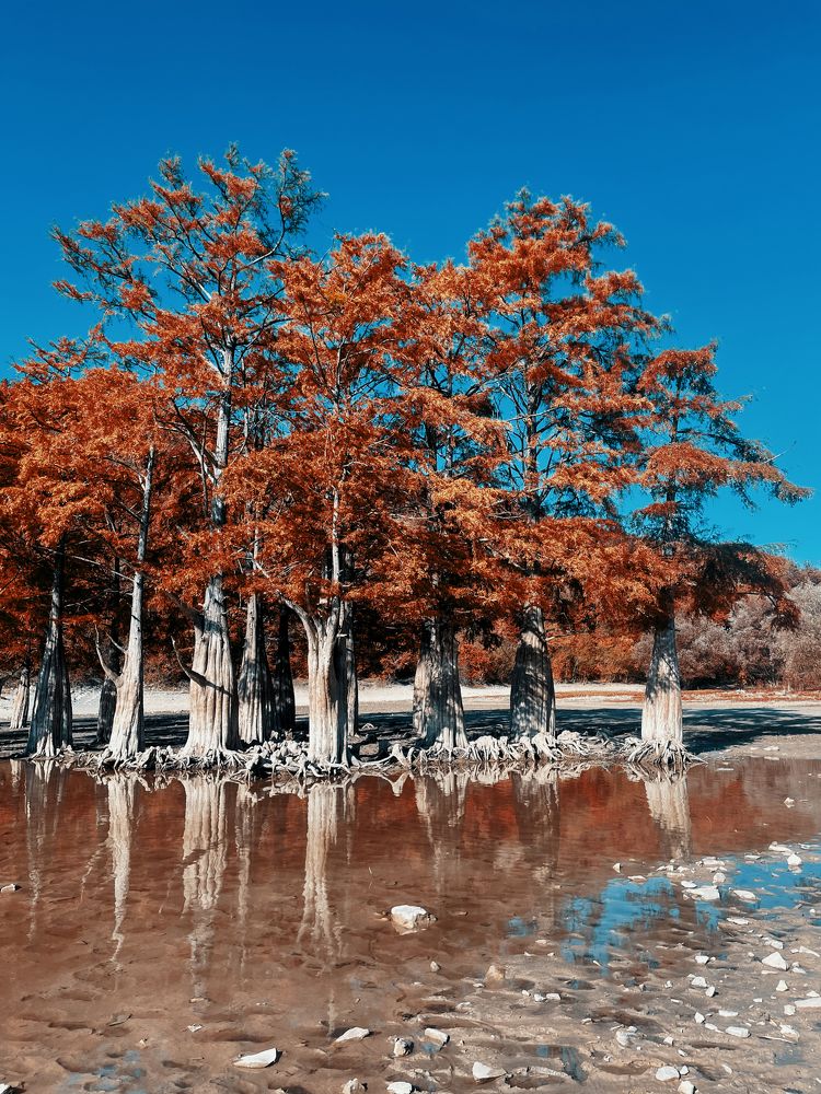 Фотография автора Oxana Yurasova