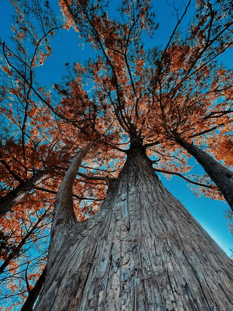 Фотография автора Oxana Yurasova