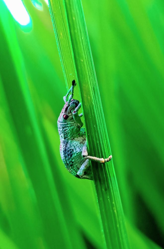 Photograph by Souvik Bhattacharyya