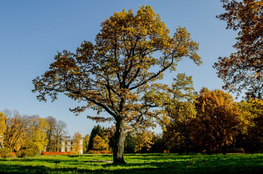 Photograph by Татьяна