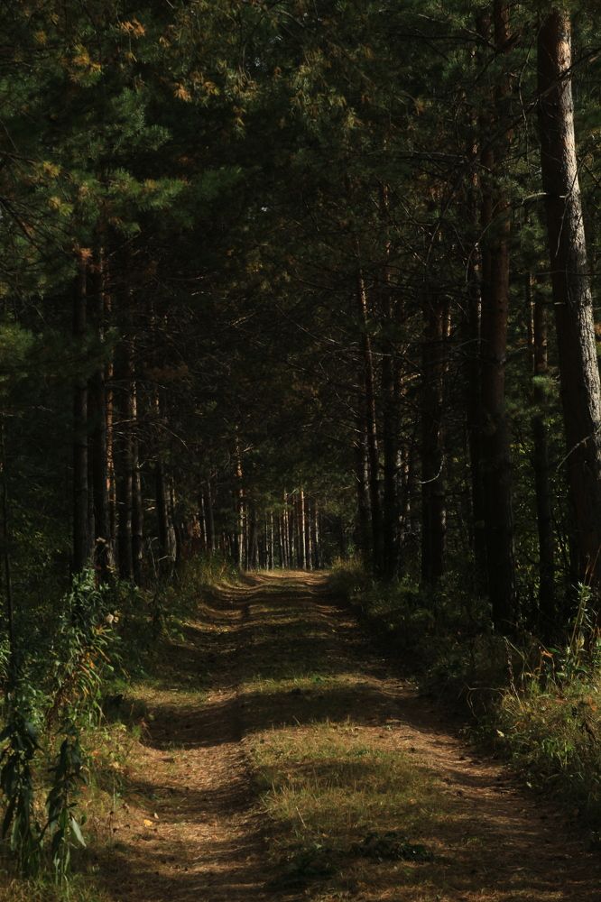 Photograph by Елена Змейкова
