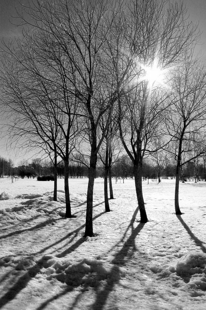 Photograph by Екатерина Новикова