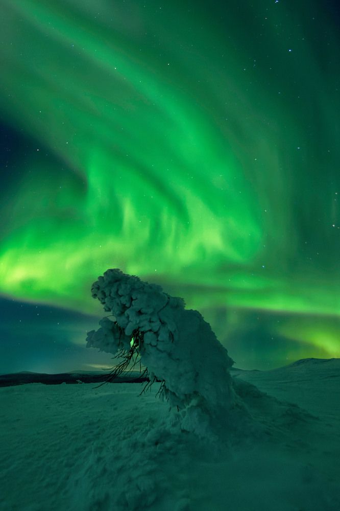 Photograph by Jose Pedrero Barrios